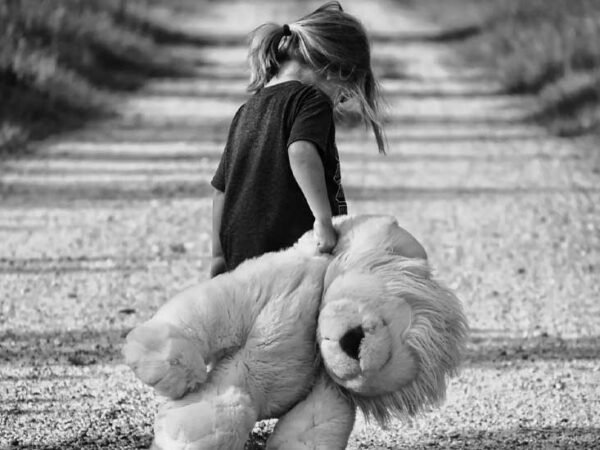 gauthierboxed.wpbromo.com