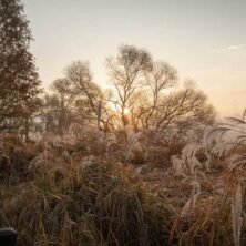 gauthierboxed.wpbromo.com