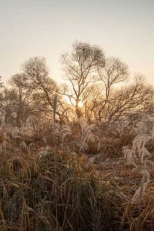 gauthierboxed.wpbromo.com