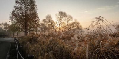 gauthierboxed.wpbromo.com