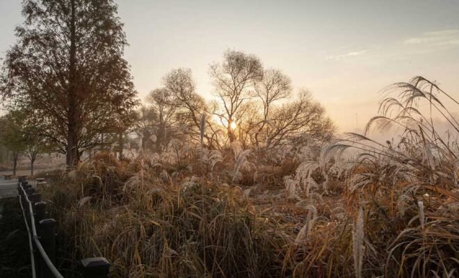 gauthierboxed.wpbromo.com