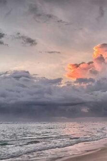 gauthierboxed.wpbromo.com